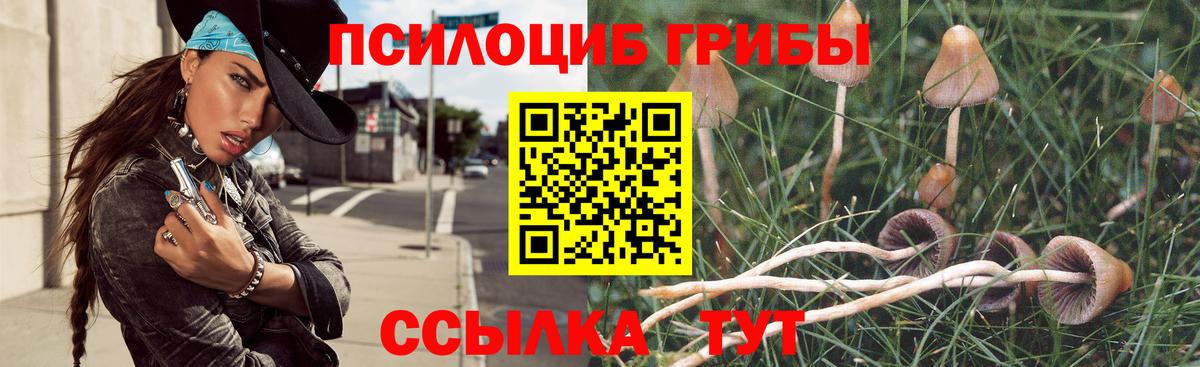 Псилоцибиновые грибы MAGIC MUSHROOMS Кисловодск