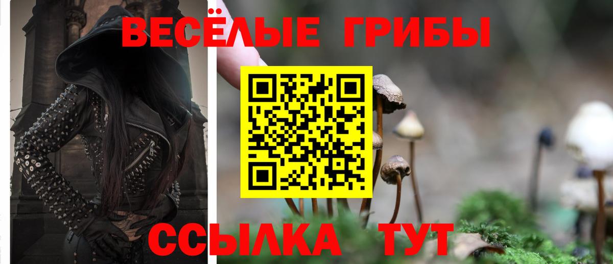 Кисловодск  Галлюциногенные грибы Cubensis  Вход с VPN 